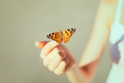 butterfly in hand