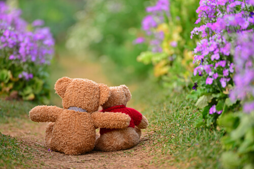 Teddy Bears Hugging