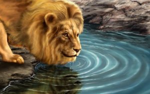 The Lion and His Reflection