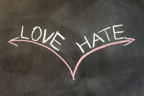 Mixed Emotions: Can love and hate co-exist?