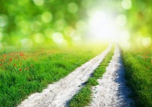 Three Instincts That Rarely Fail