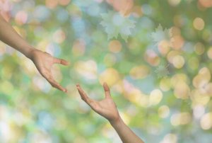 Attachment: The Greatest Source of Suffering