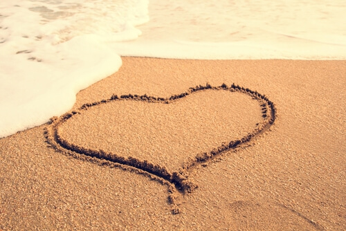 shutterstock_304835099