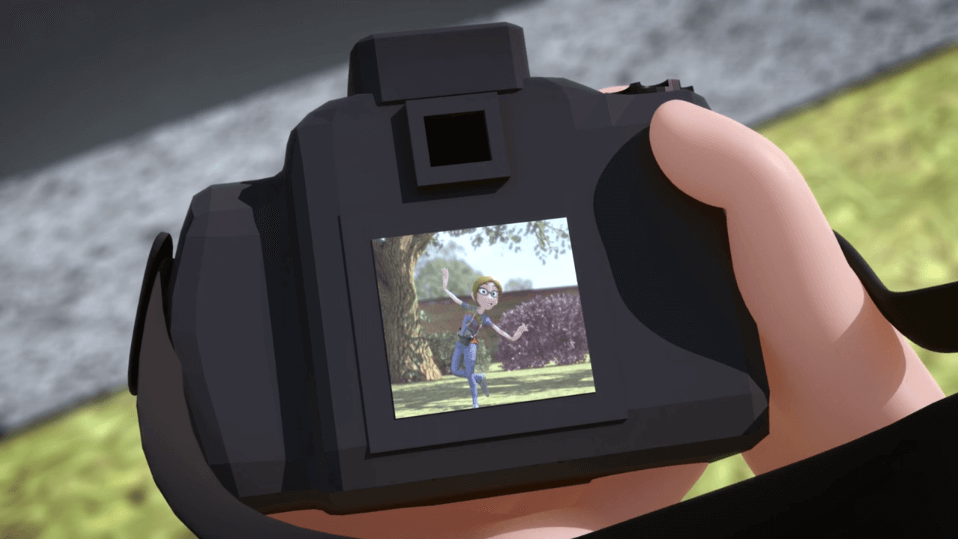 Picture on Camera