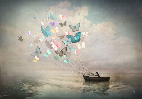 boat and butterflies