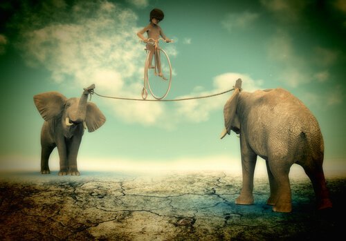 boy balancing on a rope held by two elephants