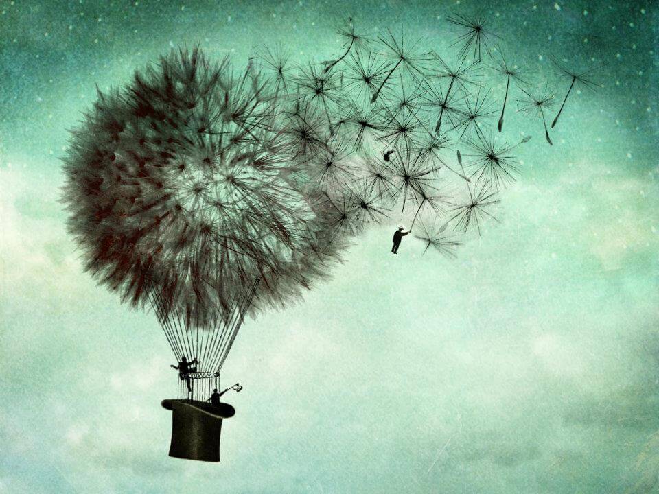 dandelion hot air balloon action