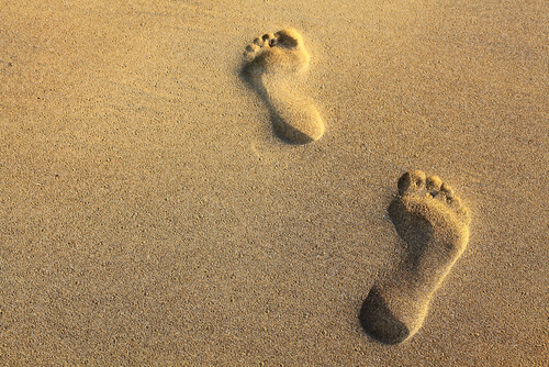 footprints