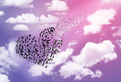 heart made of birds flying