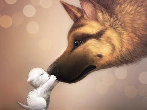 dog and cat touch noses pets