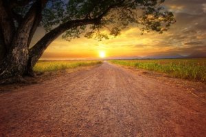 What's Behind Demotivation?