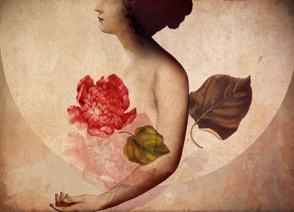 woman and flower