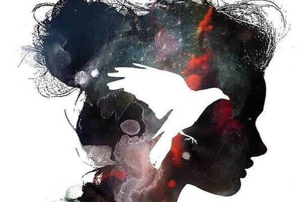 dark face silhouette bird