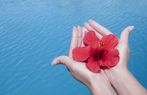 Gratitude: The Secret Ingredient