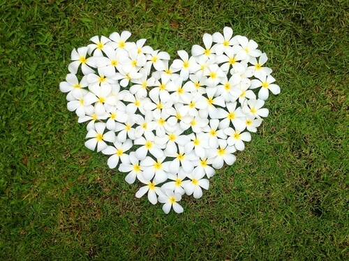 Blomsterhjerte