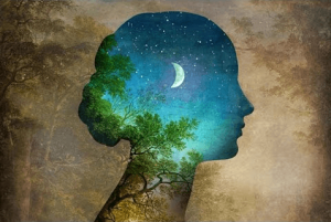 You Are Not Your Experiences, But What You Learn From Them