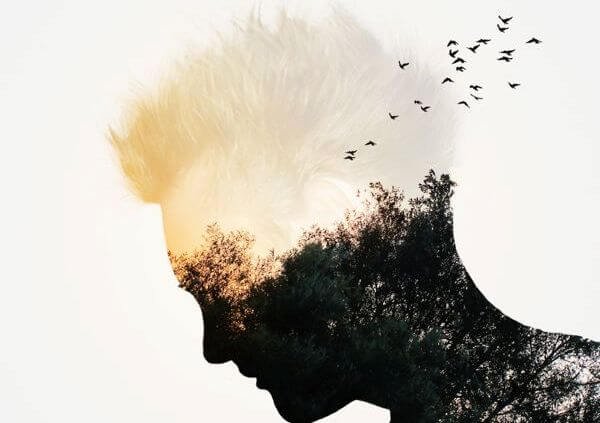 bird head