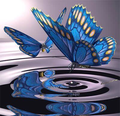 butterflies and water