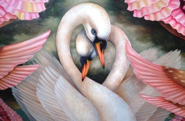 swan love