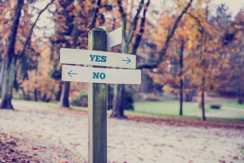 yes no