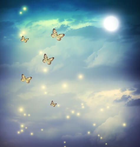 butterflies flying in the sky
