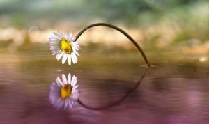 Good Things Can Happen At Any Moment