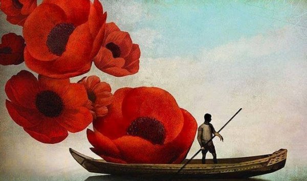 flowers and canoe