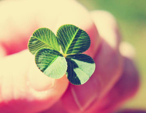 four-leaf clover lucky