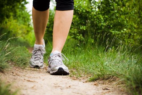 legs along a trail