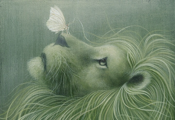 lion with moth on nose exist