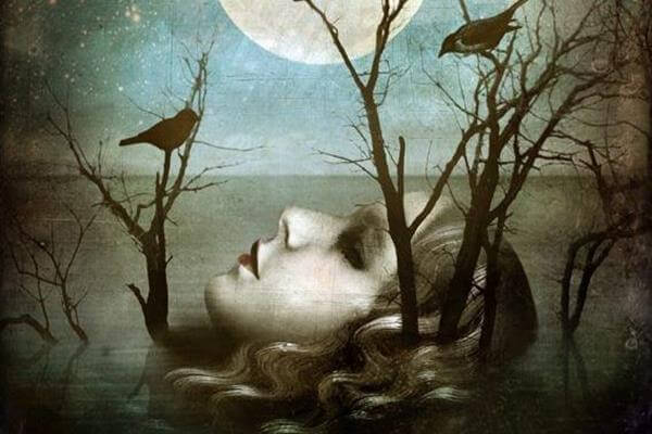 Woman's Face and Crows