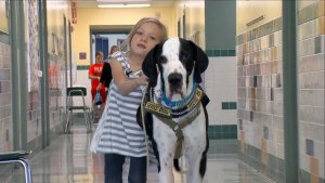 "Lean on Me:" The Wonderful Story of Bella and George