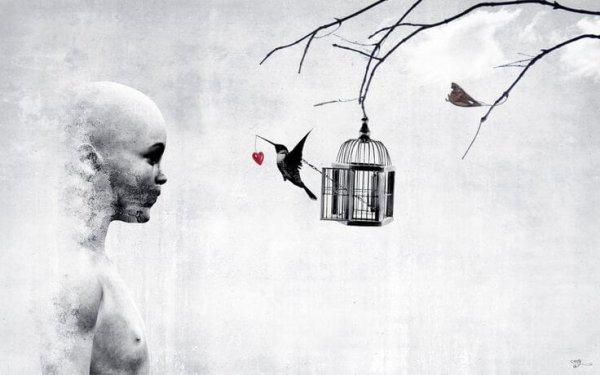 bird flying out of cage