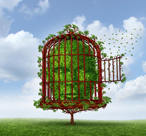 face in a cage limits