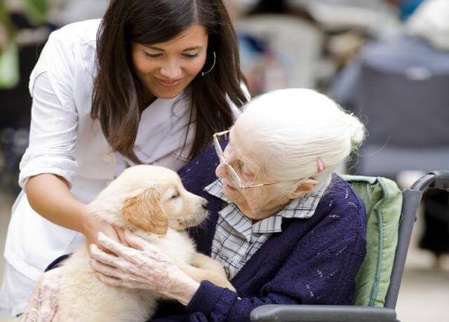 Oudere vrouw met hond