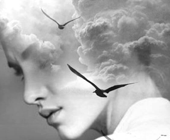 face of a woman with birds in the middle