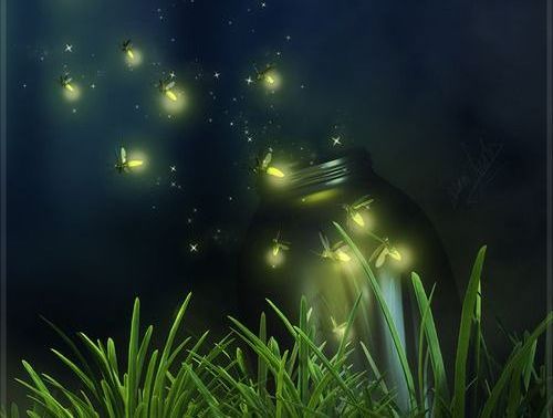 Fireflies