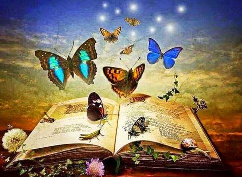 Book Full of Butterflies