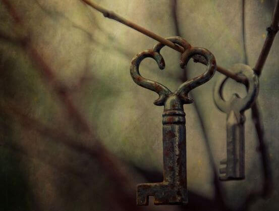Keys on Tree Branch