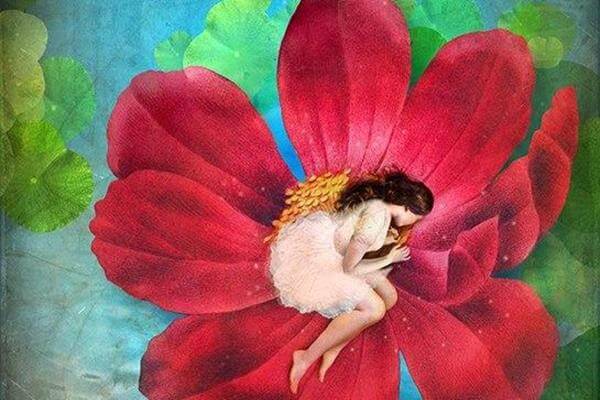 Girl Lying on a Rose