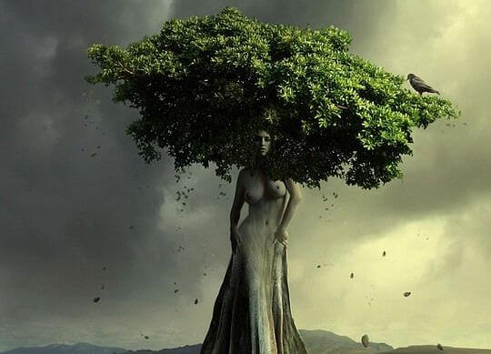 tree in the shape of a woman