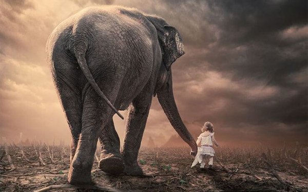 elephant and little girl