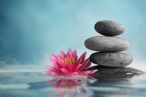 29 Zen Phrases to Inspire You
