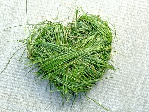 green heart made of grass