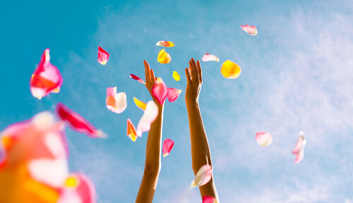 hands throwing flower petals