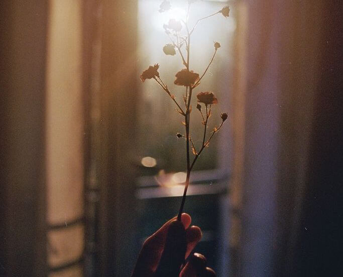 holding a flower