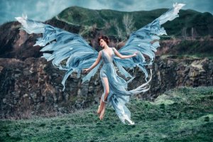 Find Your Wings and Use Them to Reach Your Potential