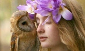 Every Beginning Has an End