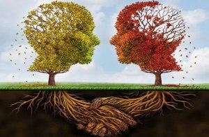 10 Types of Psychologists