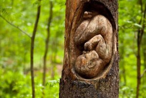 4 Things We Learn Before Birth